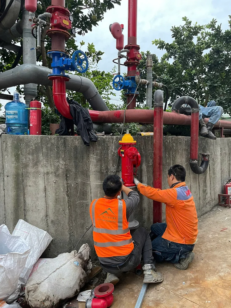 Nhà máy giấy Việt Trì