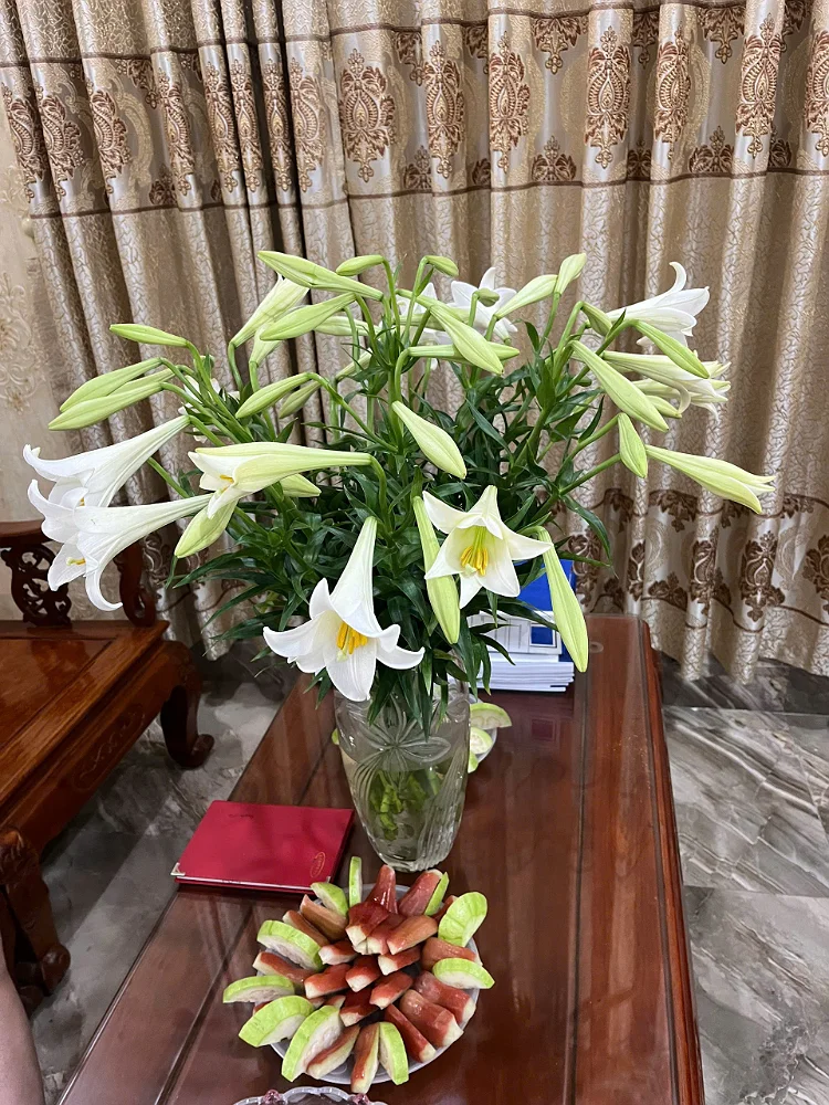 Khách sạn Sao Băng – Long Biên, Hà Nội