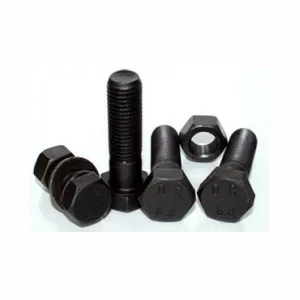 Bulong-Ecu-long đen - Ảnh 6
