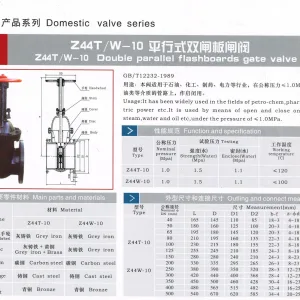 Van cổng ty nổi TQ - Ảnh 2