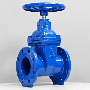Van cổng ty chìm cánh cao su, màu xanh PN16