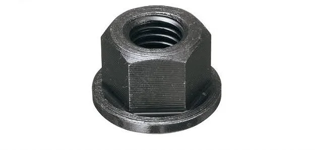 Bulong-Ecu-long đen - Ảnh 7