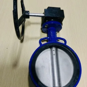 Van bướm tay quay thân gang cánh gang